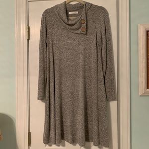 NWOT Roolee long sleeve dress with buttons
